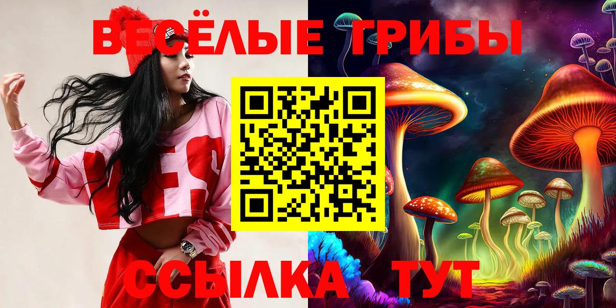 Галлюциногенные грибы GOLDEN TEACHER  Псилоцибиновые грибы прущие грибы  Вход с VPN  Россошь 